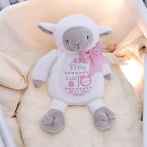 Personalized birth stat plushie lifestyle newborn gift in Dubai
