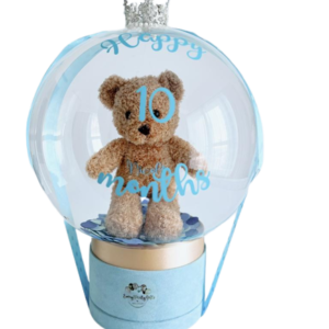 Soft Toy In Bubble Balloon
