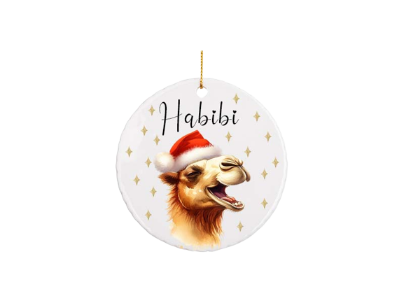 Habibi-removebg-preview (1)