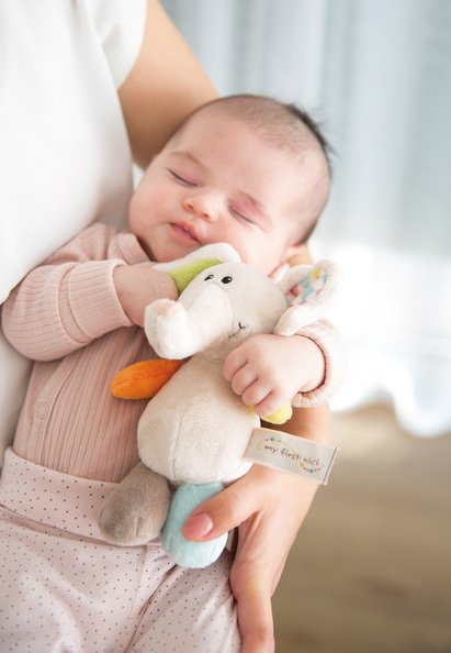 elephant gift set with baby