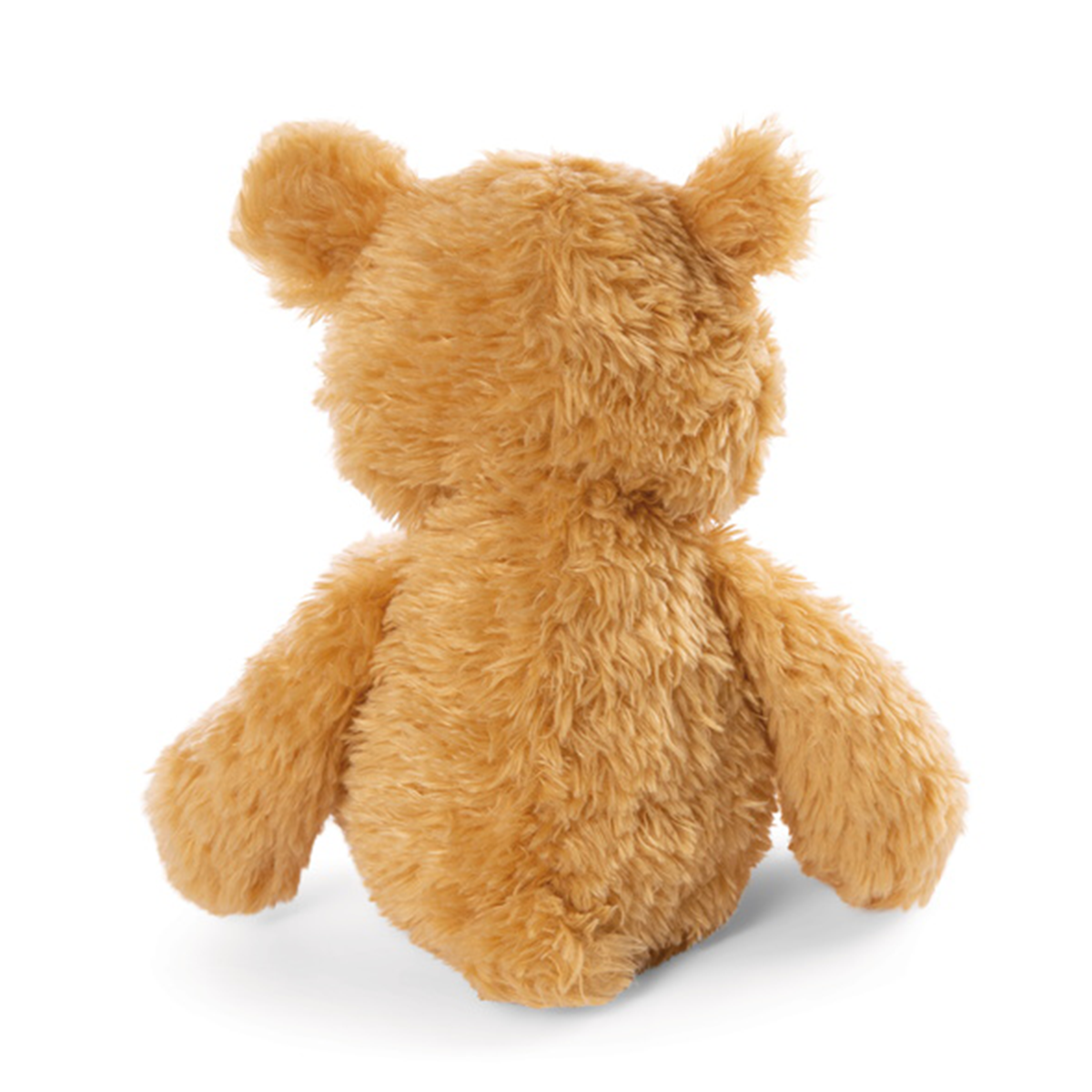 teddy mielo back